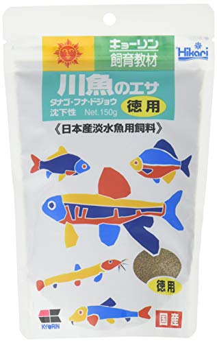 海水魚　淡水魚　観賞魚の飼育用品 新品もあります‼️ 淡水魚とは！分類からアクアリウムで飼育できる淡水魚と飼育